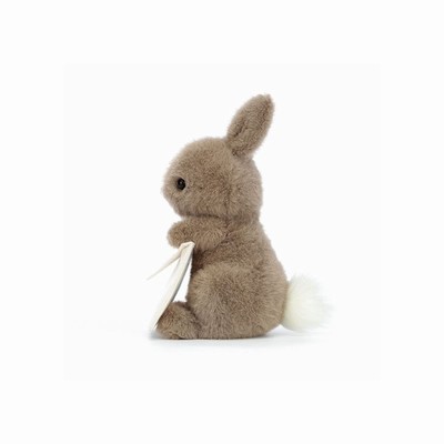 Jellycat Messenger Bunnies UK | 36092ROCK